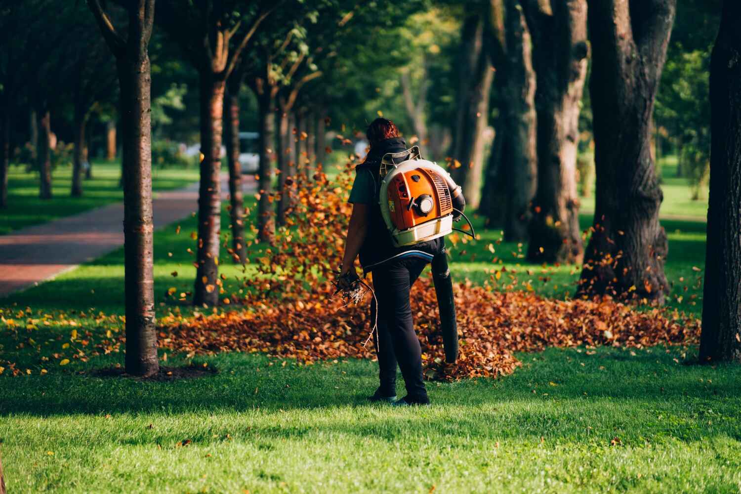 TreeGuard Tree Service